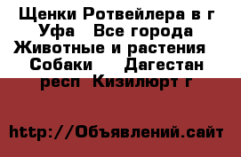 Щенки Ротвейлера в г.Уфа - Все города Животные и растения » Собаки   . Дагестан респ.,Кизилюрт г.